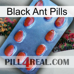 Black Ant Pills 06